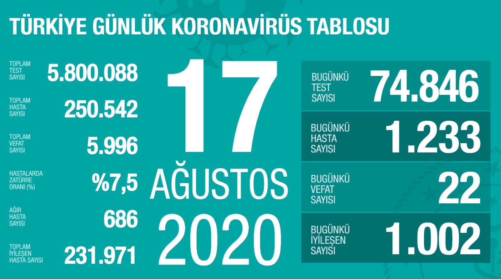 Türkiye'de son 24 saatte 1233 kişiye koronavirüs tanısı konuldu